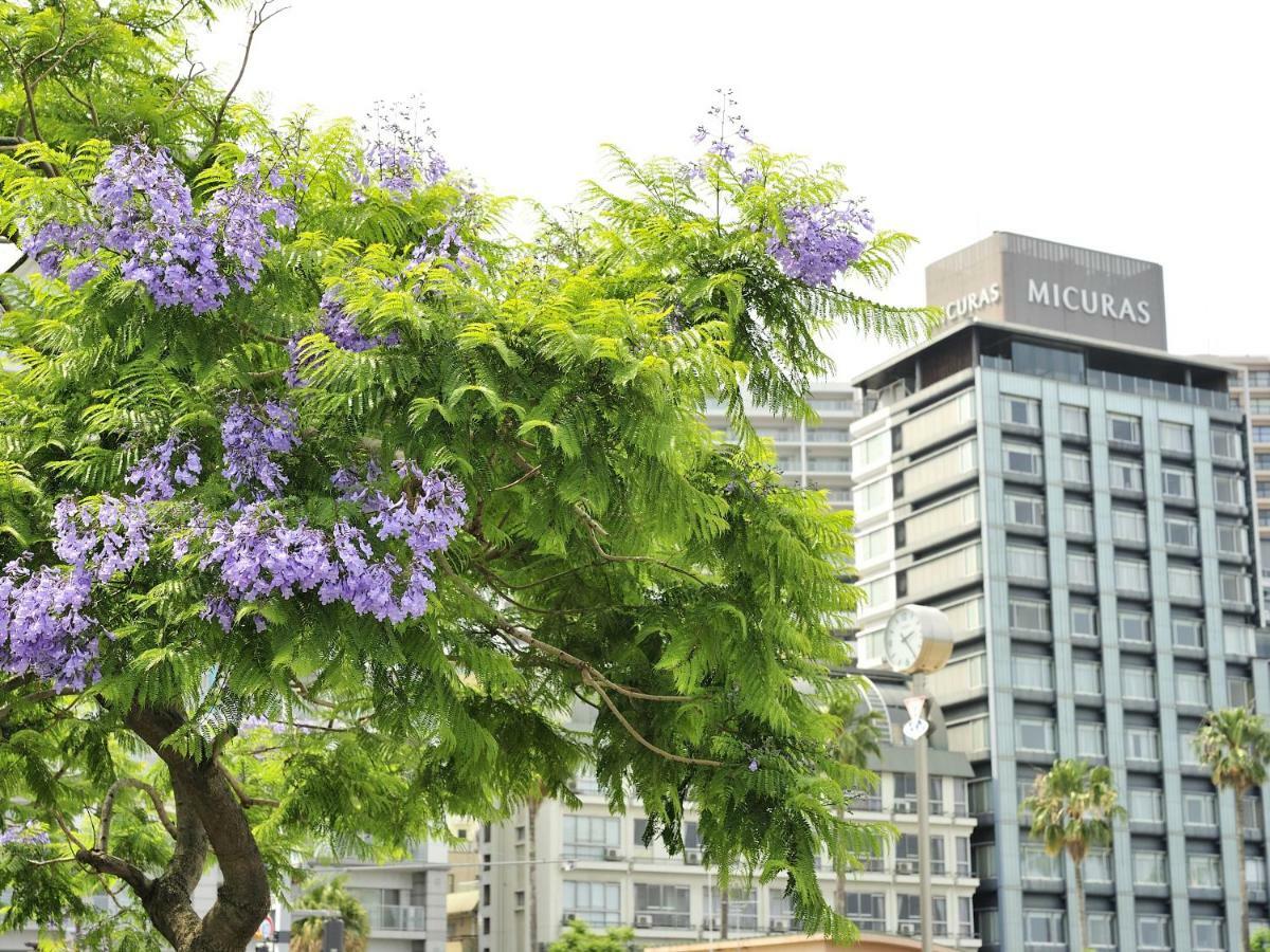 Hotel Micuras Atami  Esterno foto